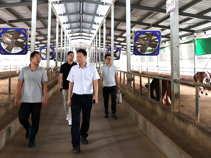 市國控集團開展國慶節(jié)前安全生產檢查